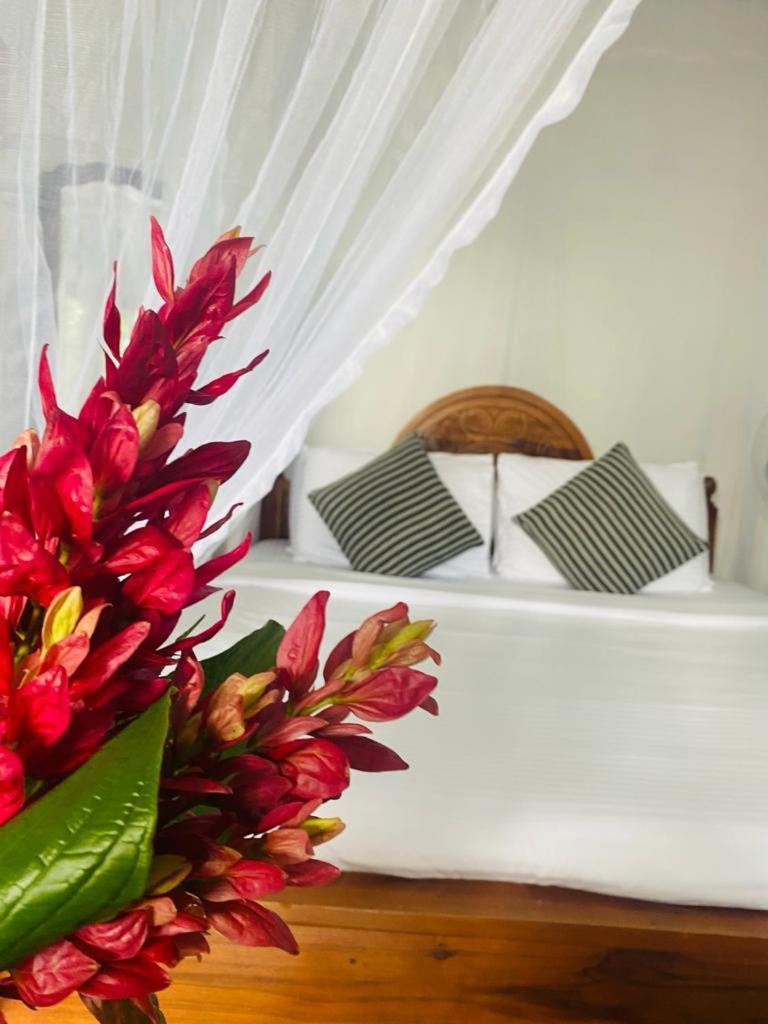 Hidden Gem Inn Ella Luaran gambar
