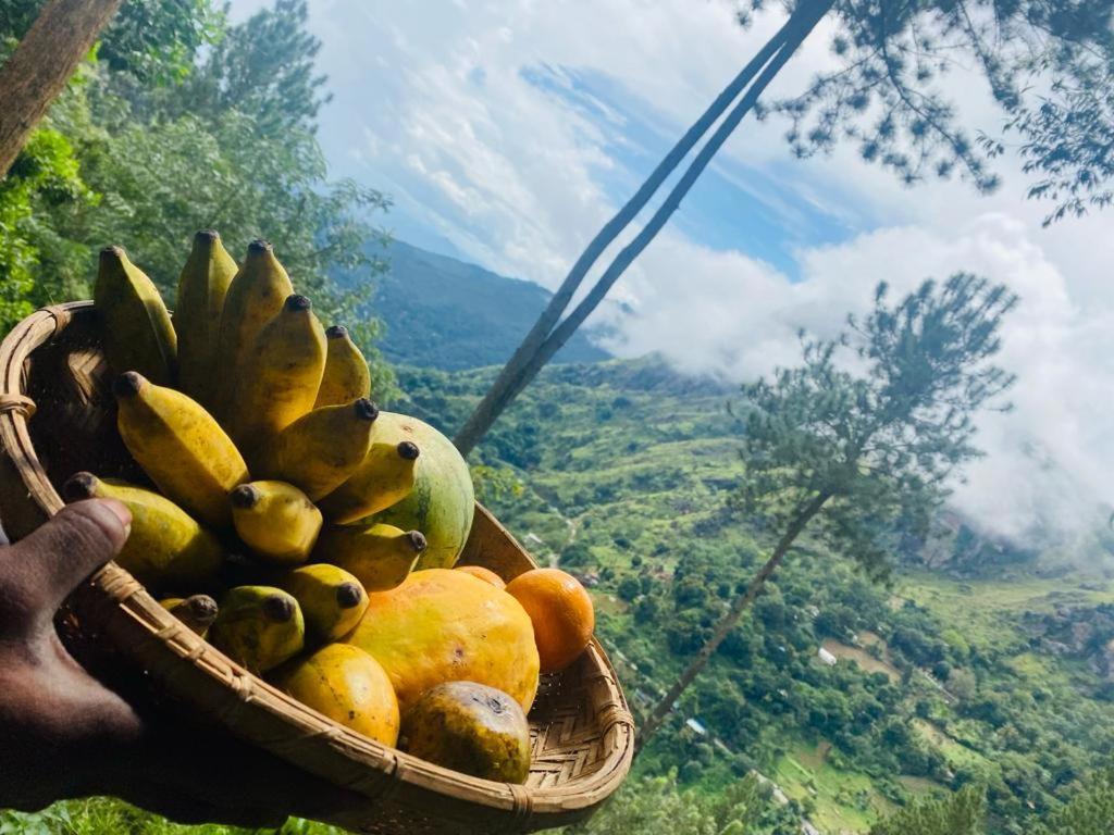 Hidden Gem Inn Ella Luaran gambar