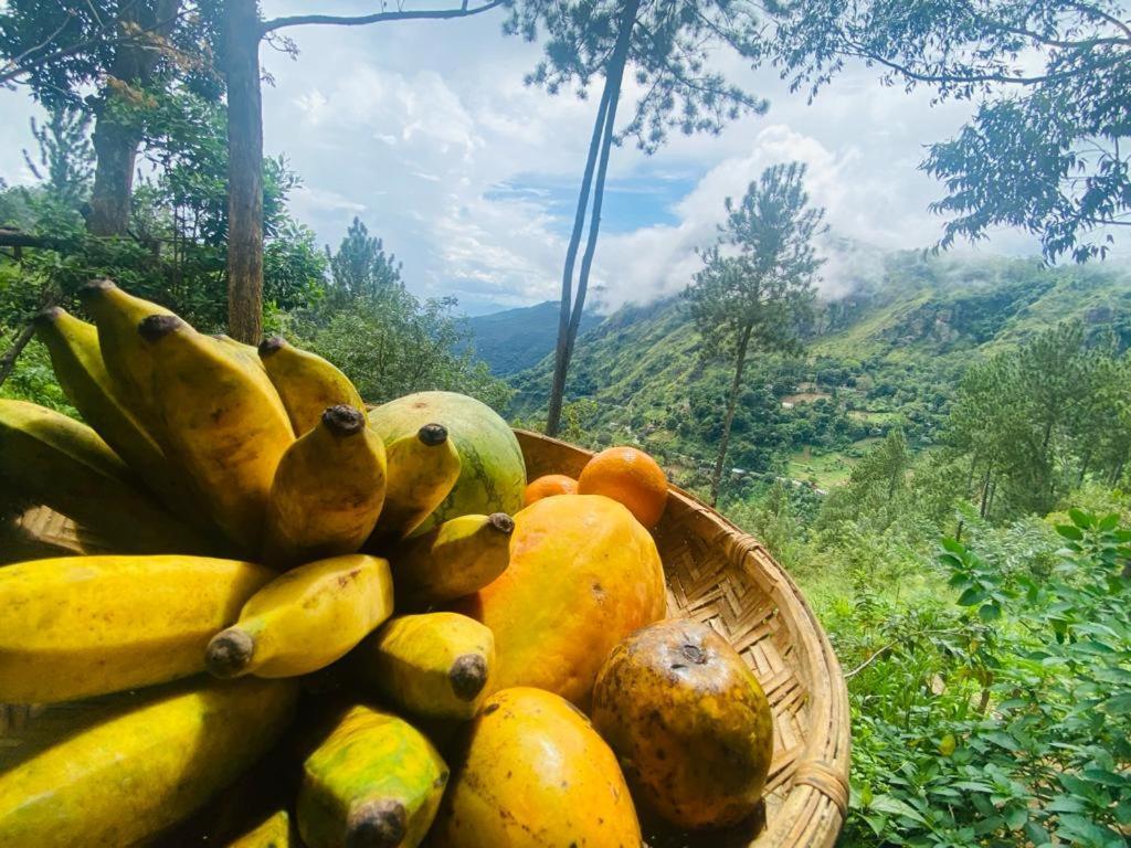 Hidden Gem Inn Ella Luaran gambar