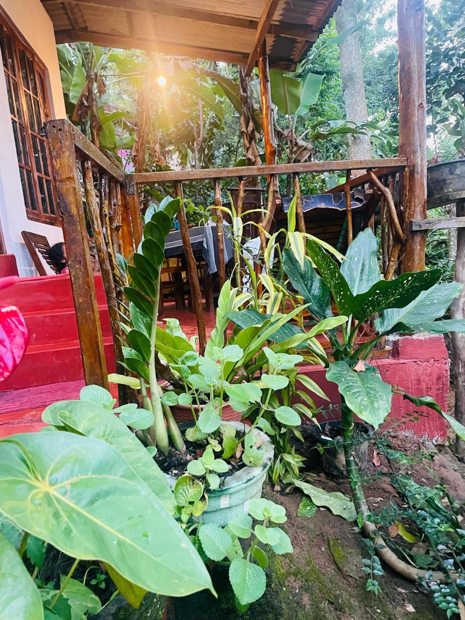 Hidden Gem Inn Ella Luaran gambar