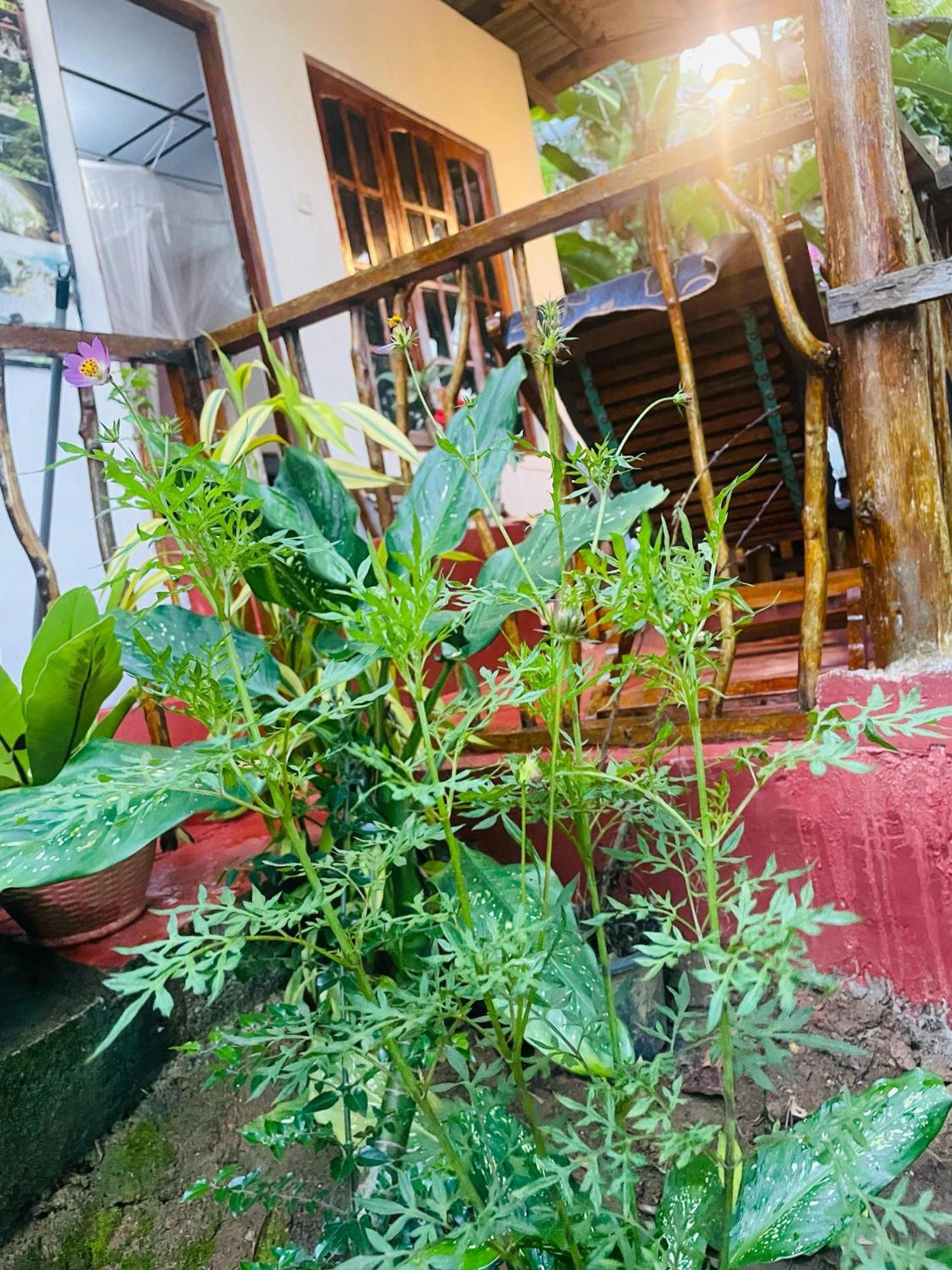 Hidden Gem Inn Ella Luaran gambar