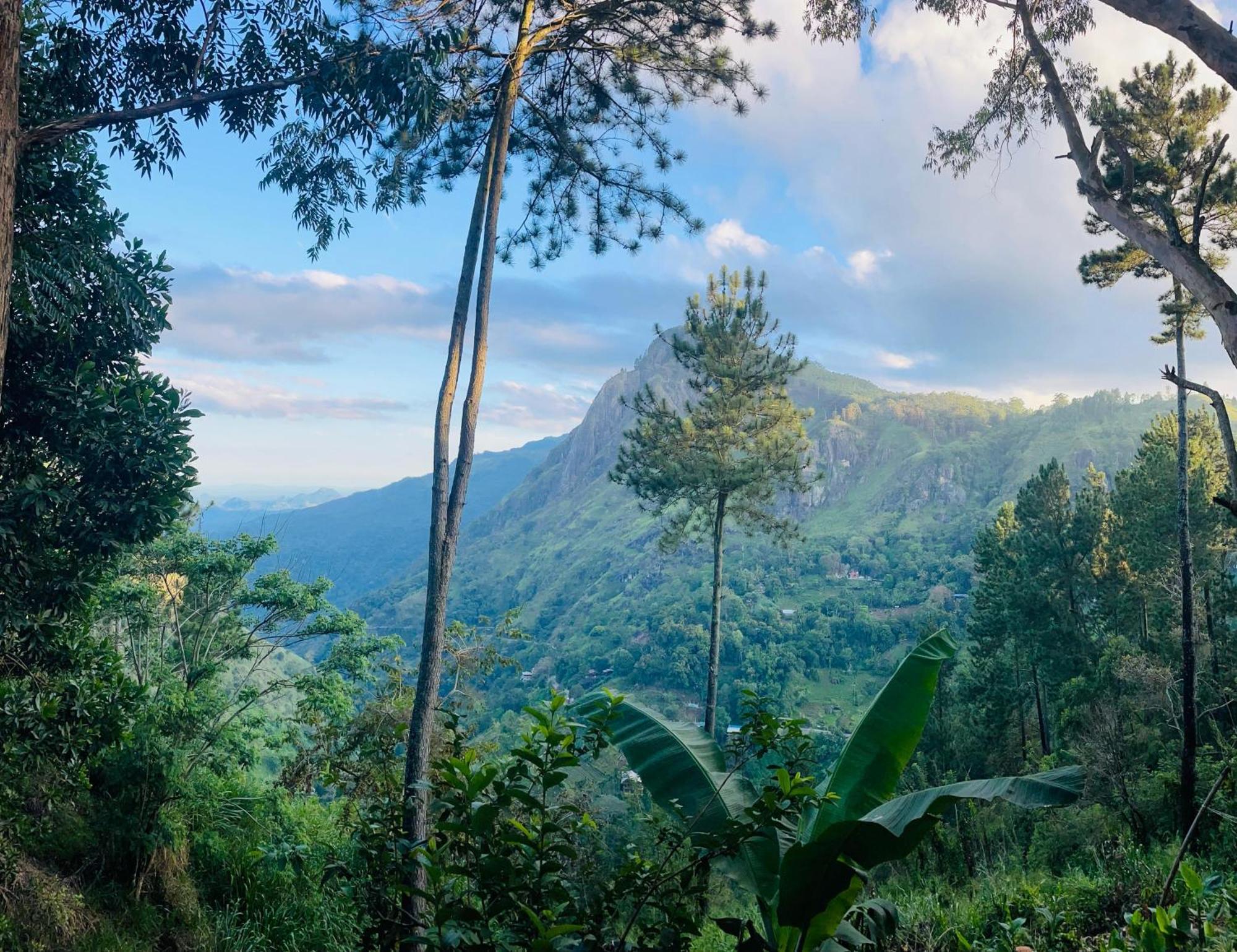 Hidden Gem Inn Ella Luaran gambar