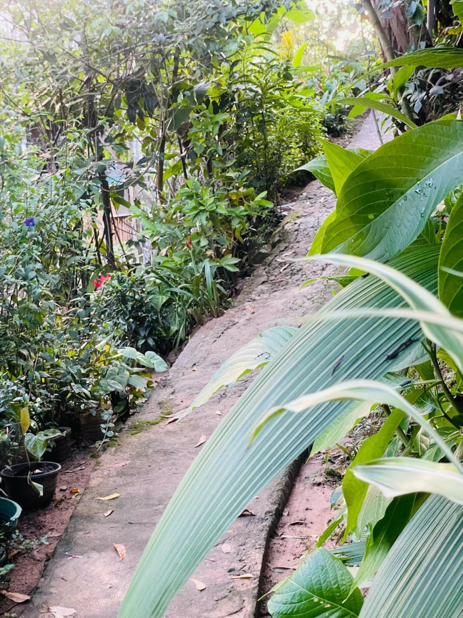 Hidden Gem Inn Ella Luaran gambar