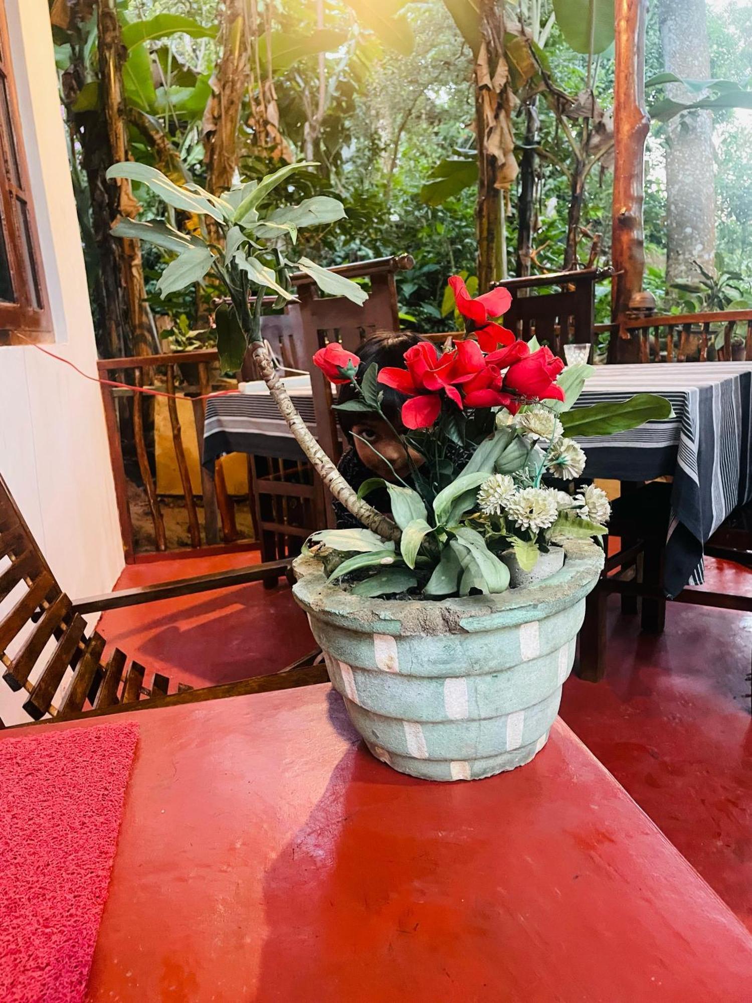 Hidden Gem Inn Ella Luaran gambar