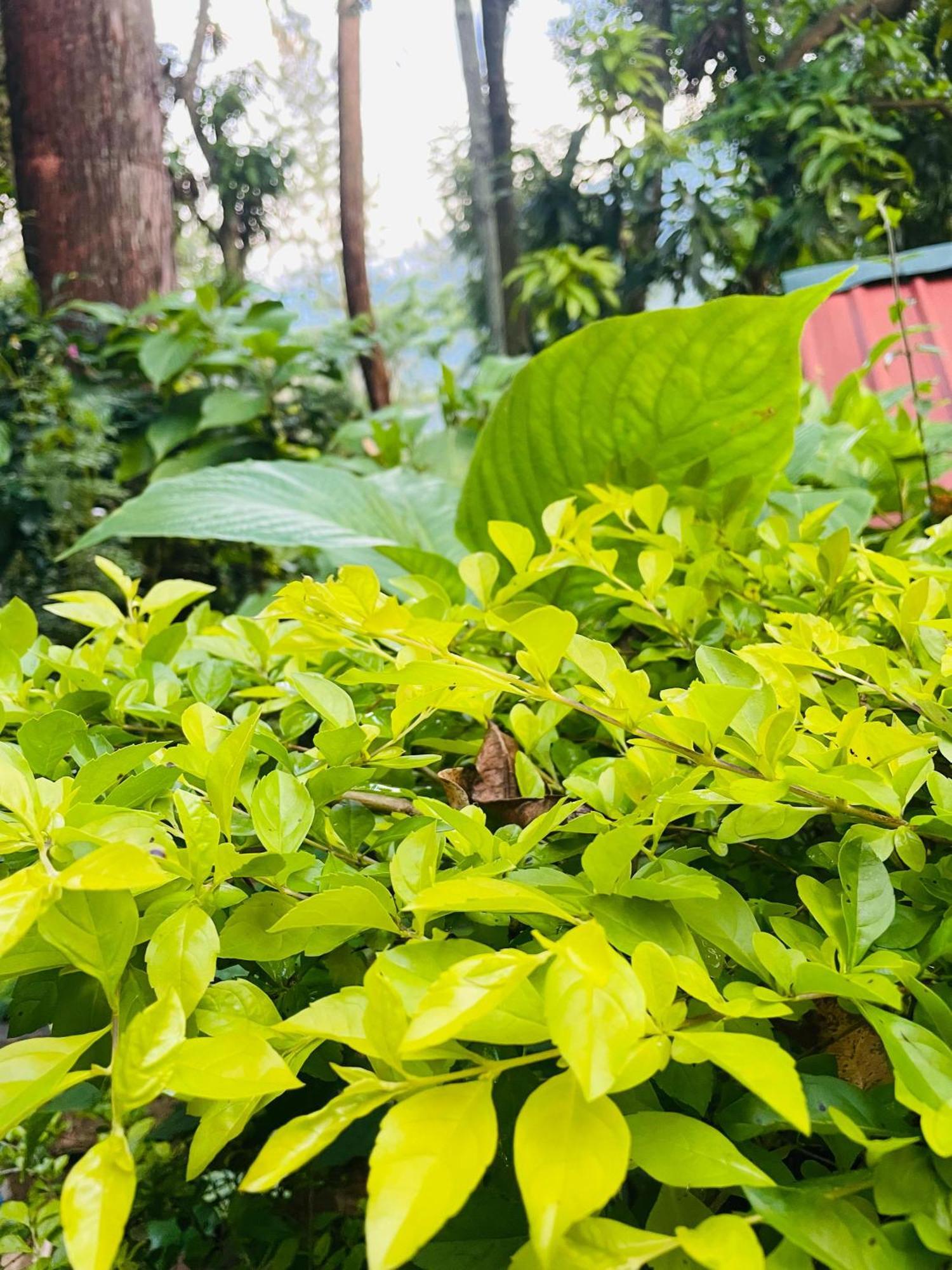 Hidden Gem Inn Ella Luaran gambar